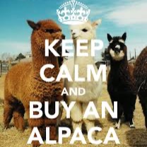 spongebob41_FriedAlpaca